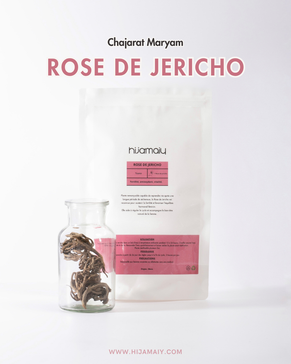 Rose de Jericho - Chajarat Maryam