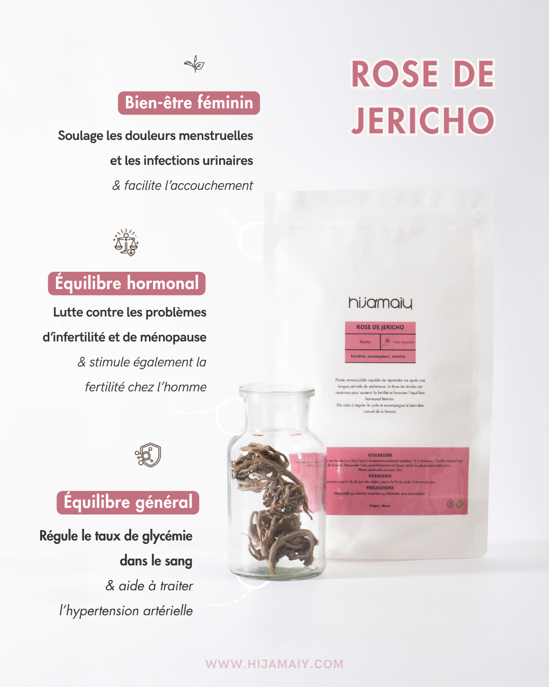 Rose de Jericho - Chajarat Maryam