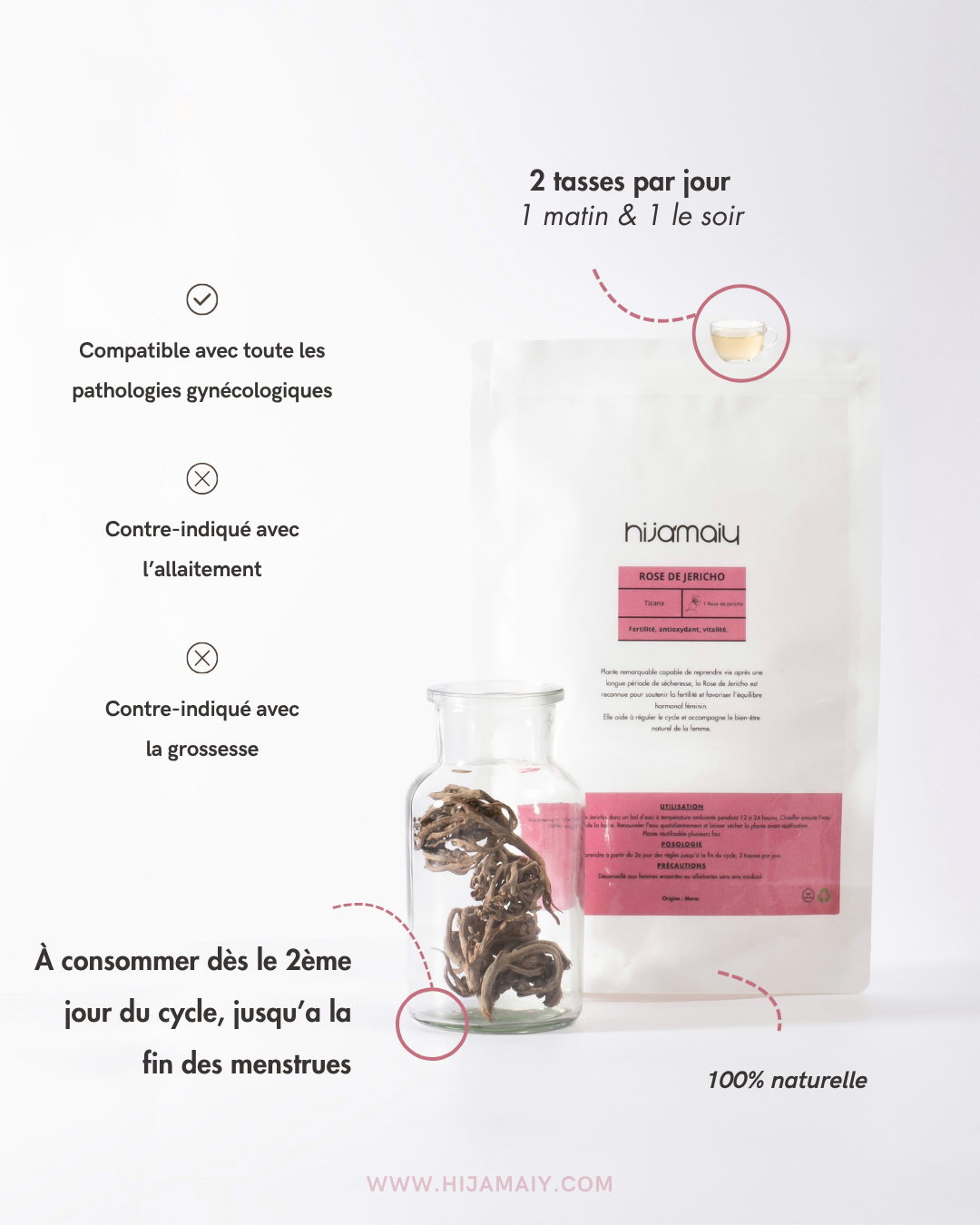 Rose de Jericho - Chajarat Maryam