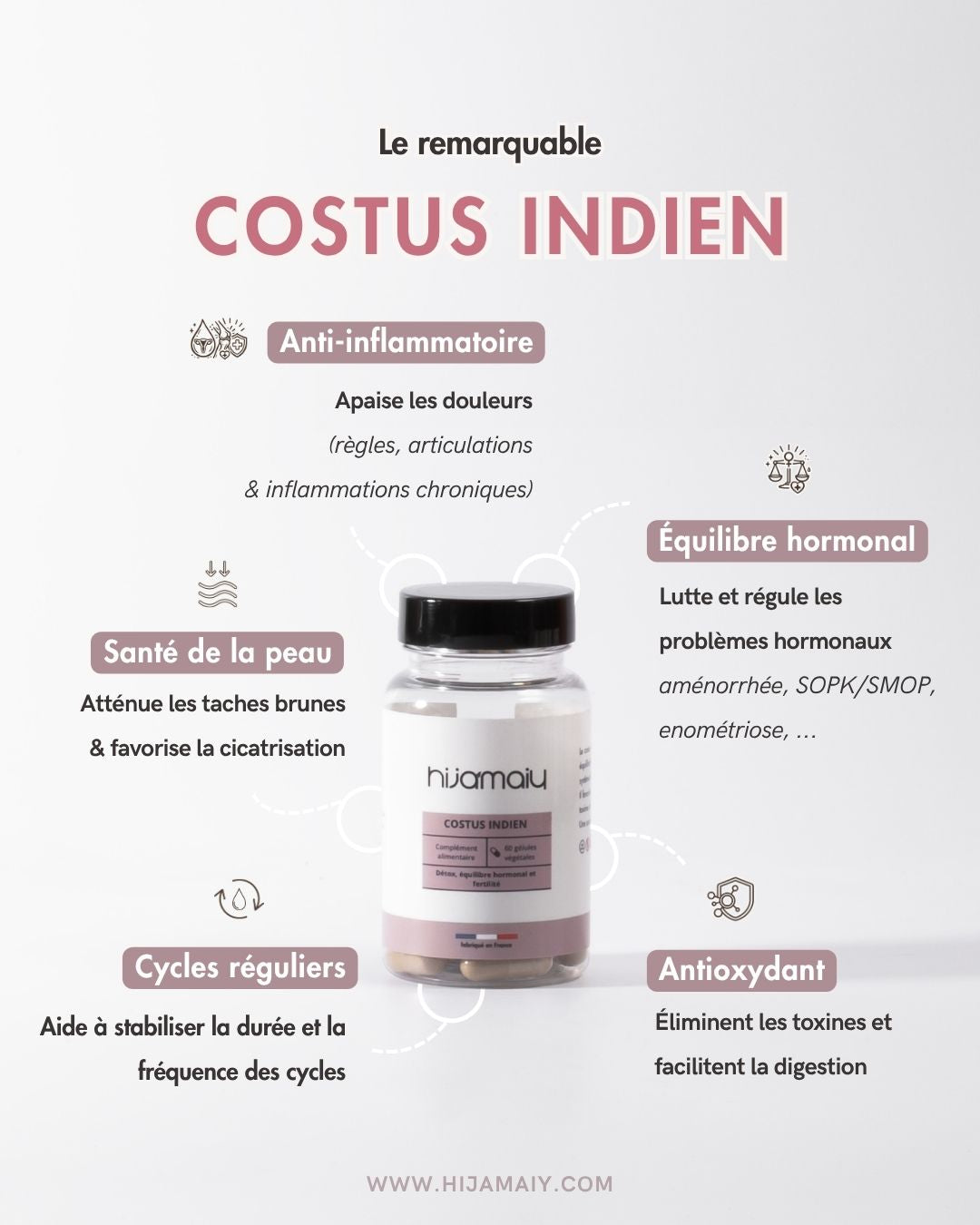 Gélules de Costus Indien